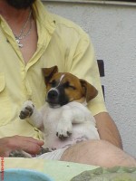 /album/happy-a-spol/takhle-spinka-po-cvicaku-jpg/